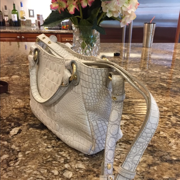 Brahmin - Picture 2 of 4